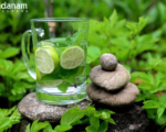 Awesome benefits of mint water you must know